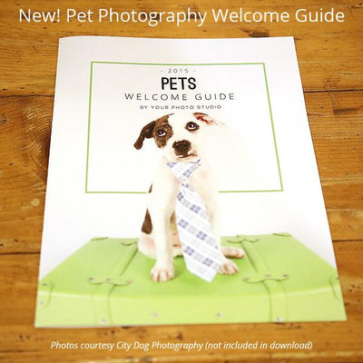 8.5x11 Magazine Template - Pets Welcome Guide
