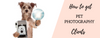 Pet Photography Business Get More Photography Clients