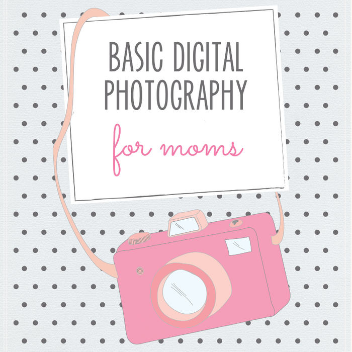 Teaching Photography Curriculum: Teach Photography Online - Magazine Mama