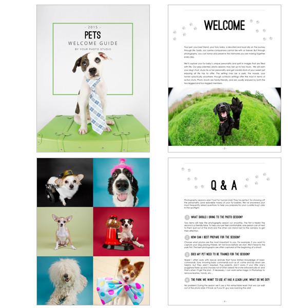 8.5x11 Magazine Template - Pets Welcome Guide