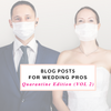 Pre-Written Blog Posts for Photographers and Wedding Professionals Vol 2