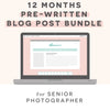 Pre-Written Blog Posts for High School Senior Photographers