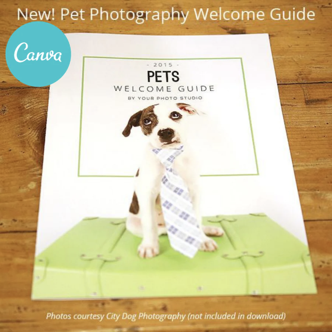 Canva Photography Magazine Template Bundle Vol. 1